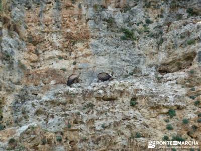 Hoces del Río Duratón - Sepúlveda;zapatos senderismo rutas en la sierra de madrid viajes comunida